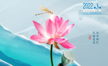 轉發(fā)浙江省招標投標協(xié)會_協(xié)會內資 總第67期_2022年第3期《浙江招標投標》